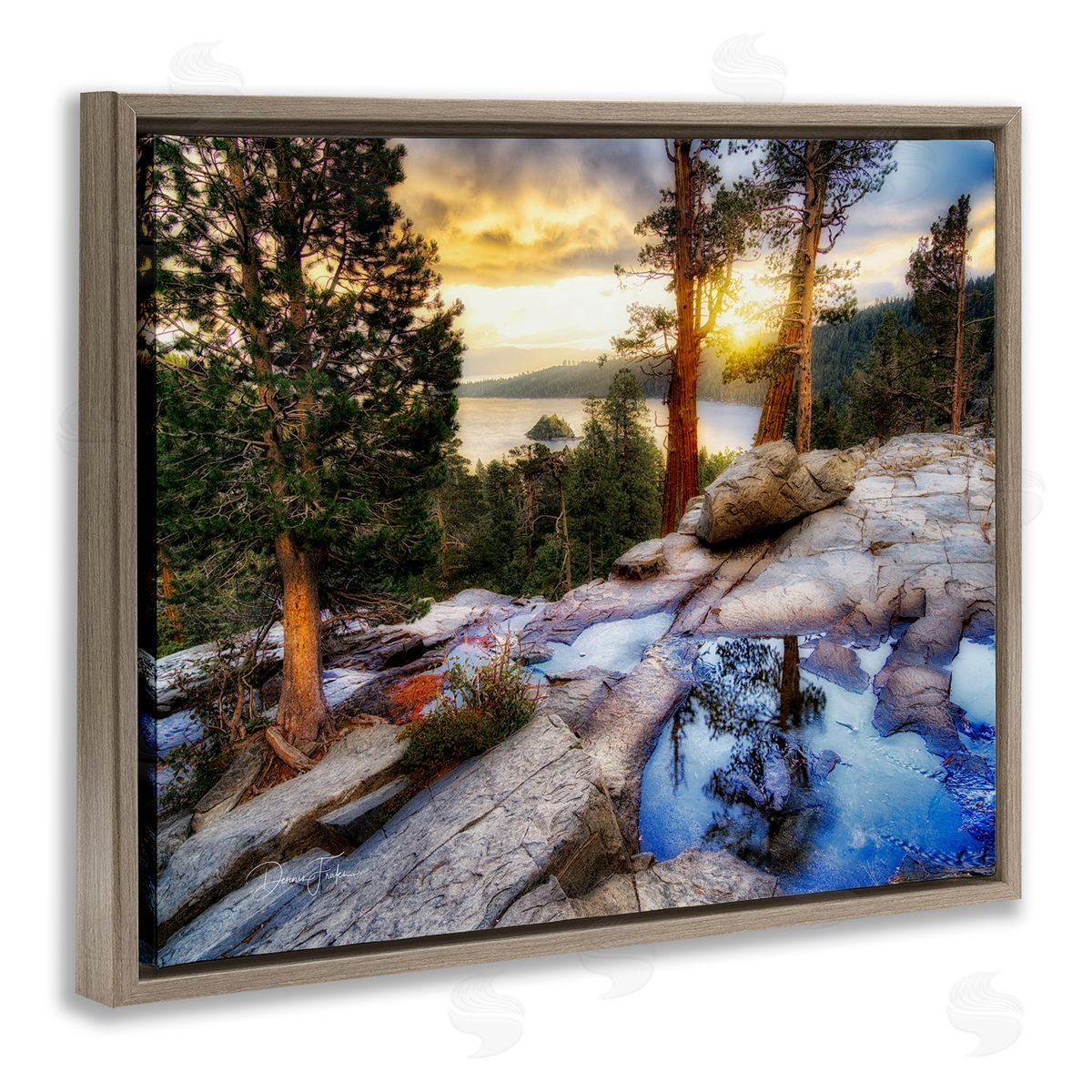 Dennis Frates Forest Cliff Landscape Brown Floating Frame Canvas Wall Art Print