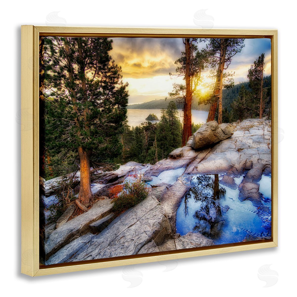 Dennis Frates Forest Cliff Landscape Gold Floating Frame Canvas Wall Art Print