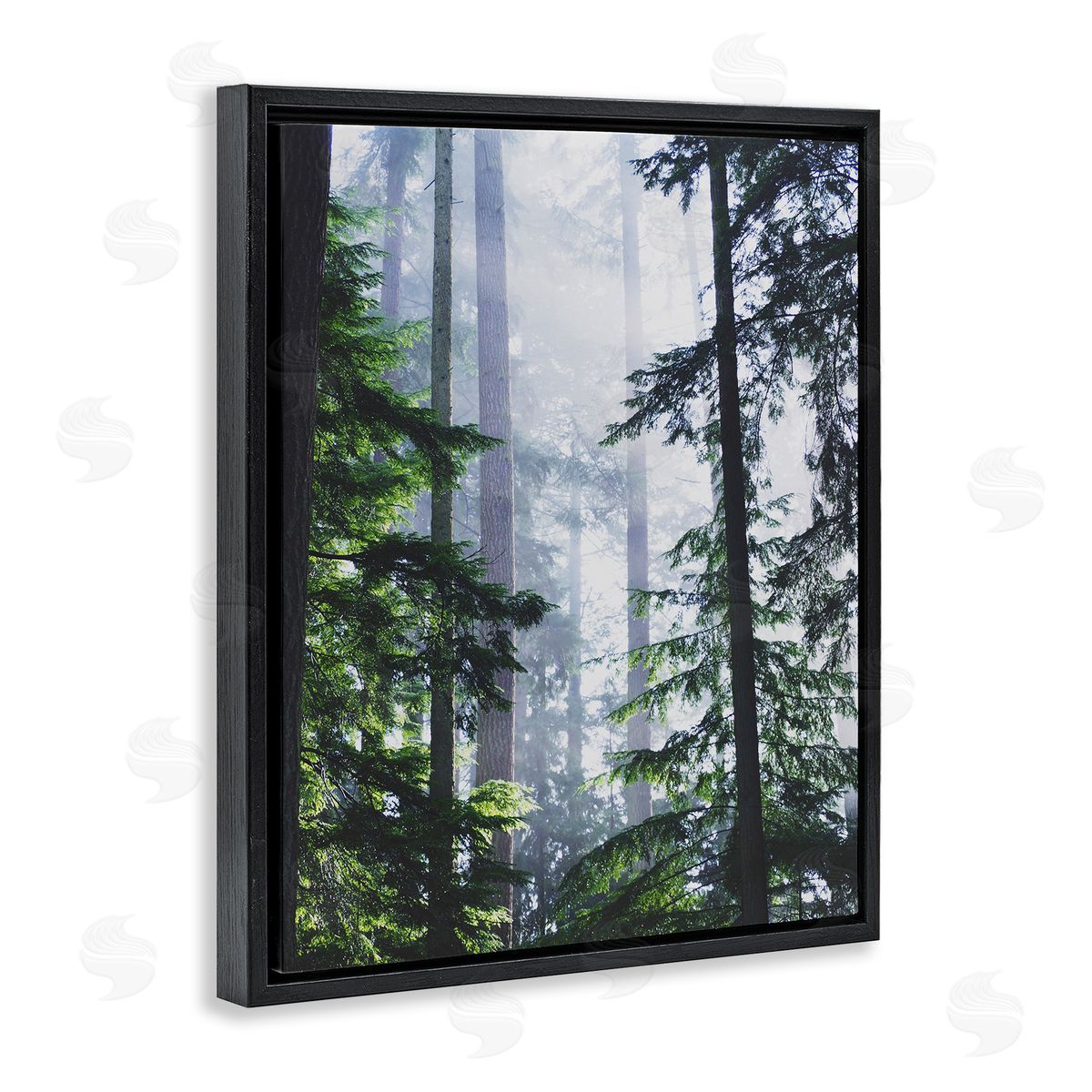 Foggy Forest View Black Floating Frame Canvas Wall Art, Home Decor by Gail Peck