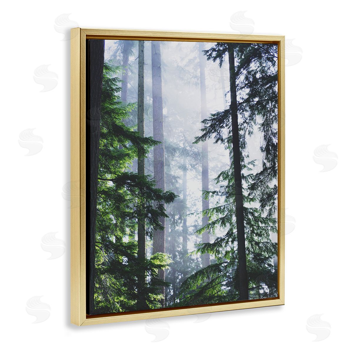 Foggy Forest View Gold Floating Frame Canvas Wall Art, Home Decor by Gail Peck