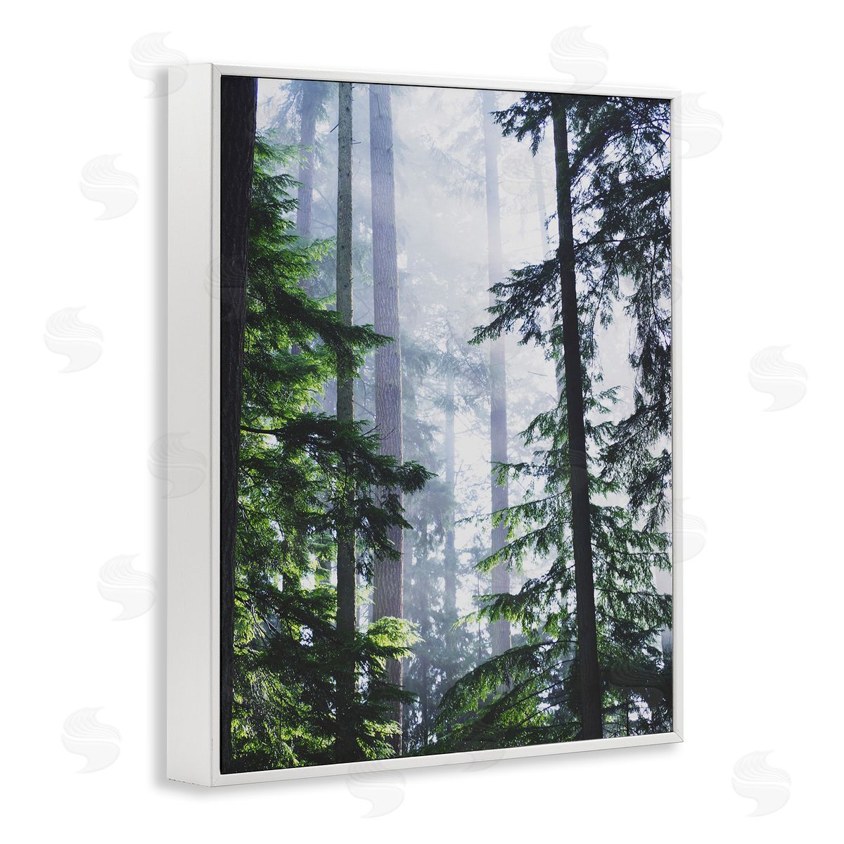 Foggy Forest View White Frame Print Wall Art, Home Decor by Gail Peck