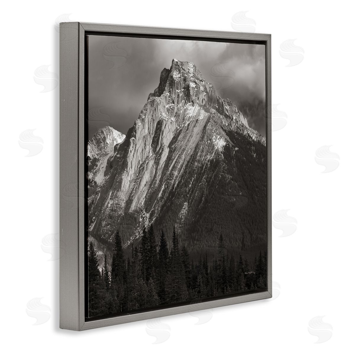 Alan Majchrowicz Canadian Rockies View Gray Floating Frame Canvas Wall Art Print