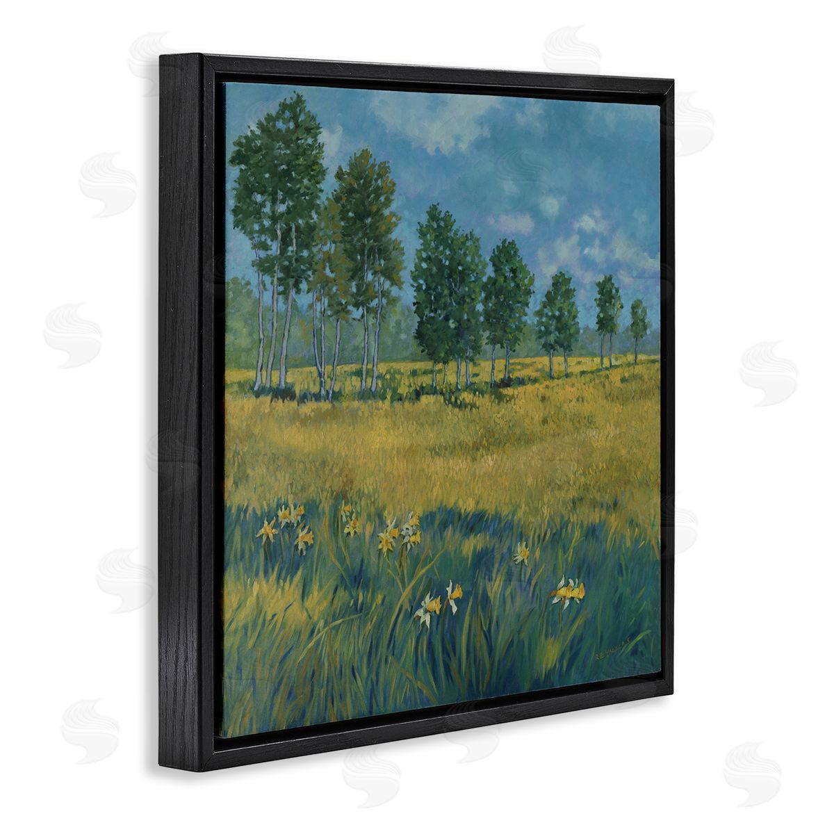 Graham Reynolds Daffodil Field Landscape Black Floating Frame Canvas Wall Art Print