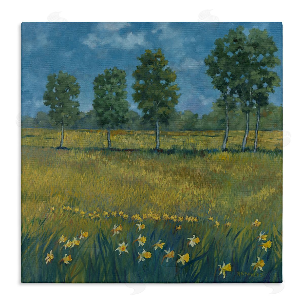 Graham Reynolds Meadow with Daffodils Canvas Wall Art Print