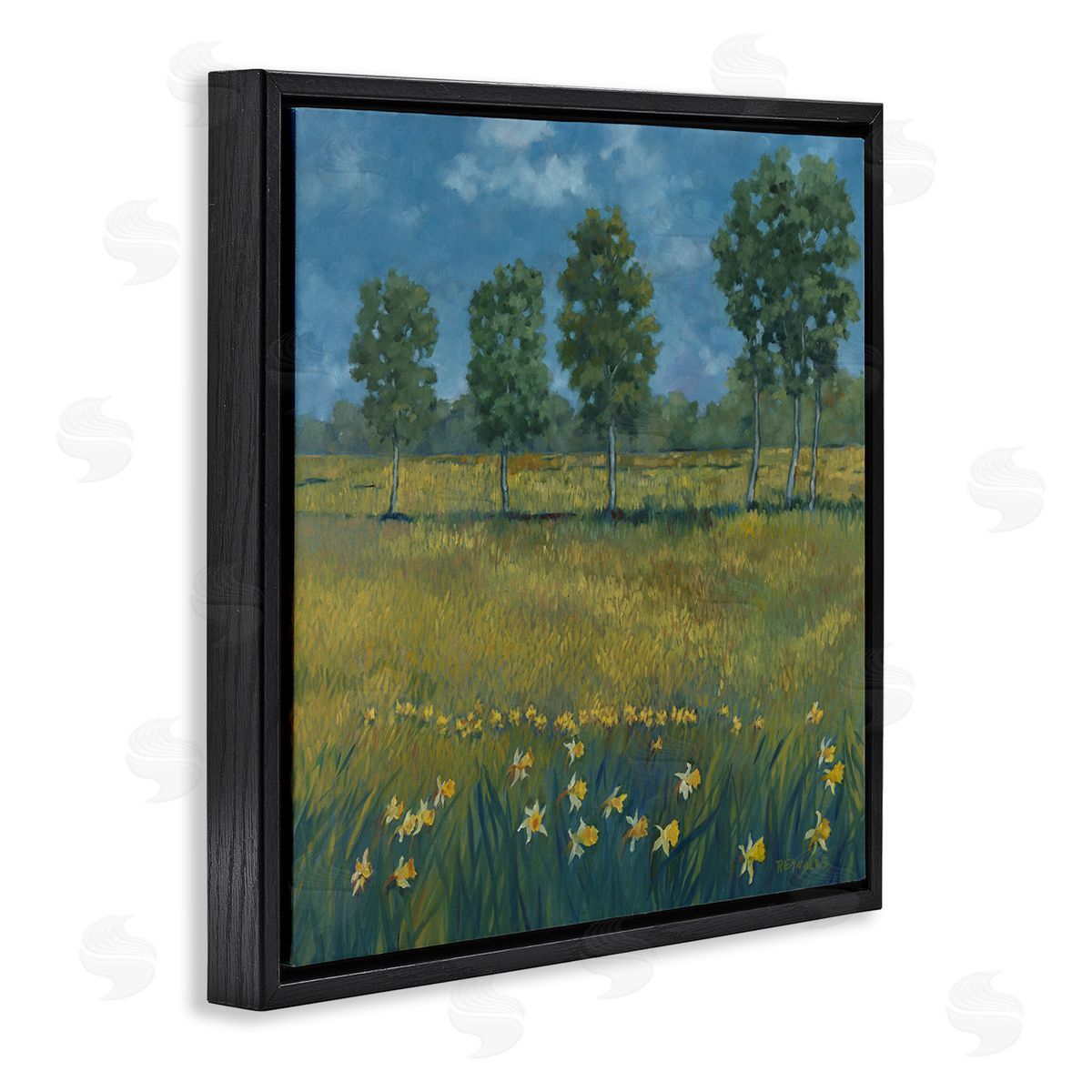 Graham Reynolds Meadow with Daffodils Black Floating Frame Canvas Wall Art Print