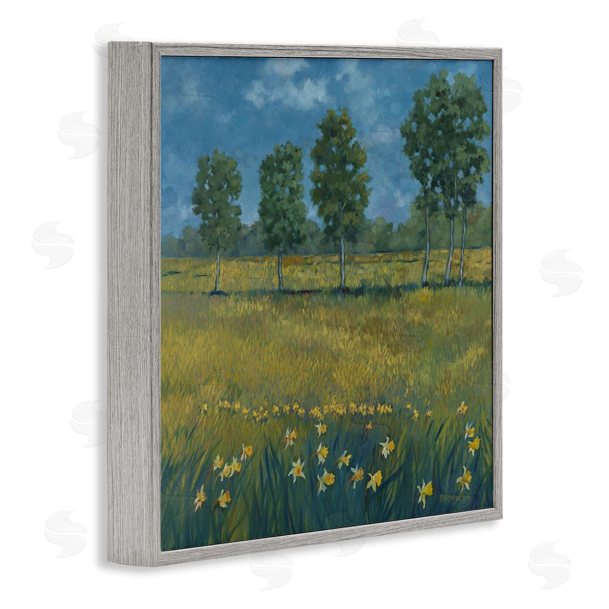 Graham Reynolds Meadow with Daffodils Gray Framed Giclee Wall Art Print