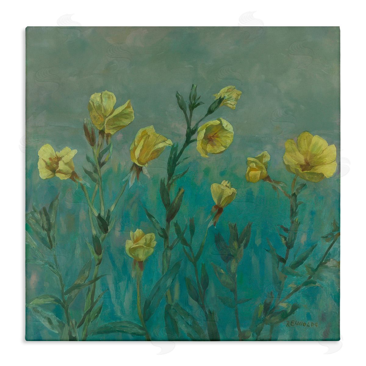 Graham Reynolds Floral Buttercup Meadow Canvas Wall Art Print