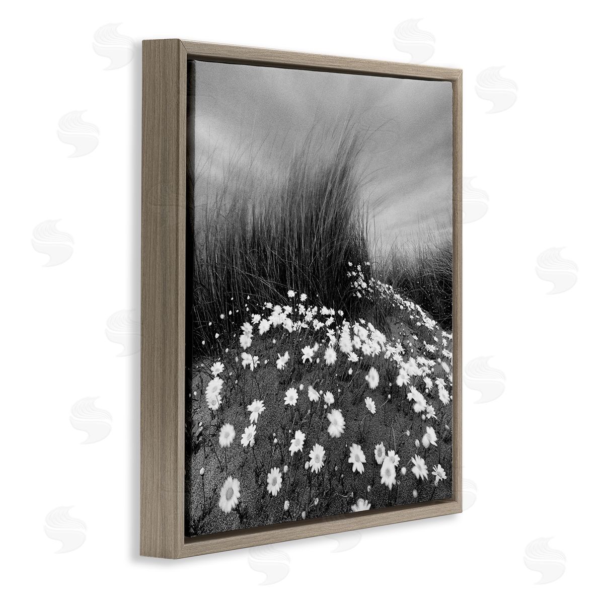 Sand Daisies on Hill Brown Floating Frame Canvas Wall Art, Home Decor by Chip Forelli