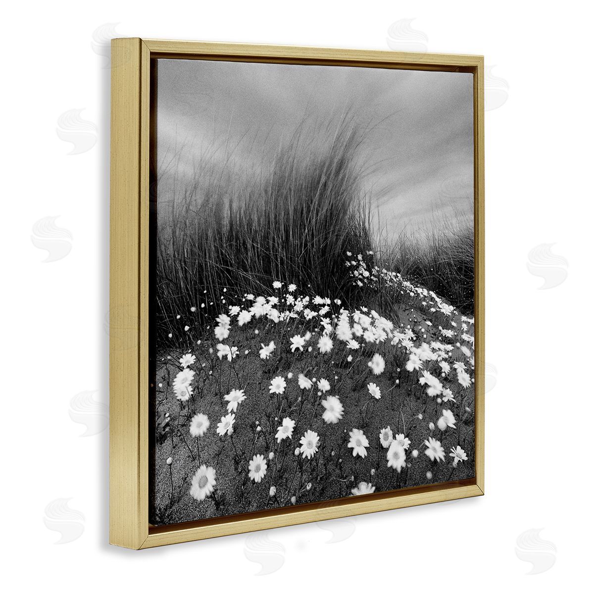 Sand Daisies on Hill Gold Floating Frame Canvas Wall Art, Home Decor by Chip Forelli