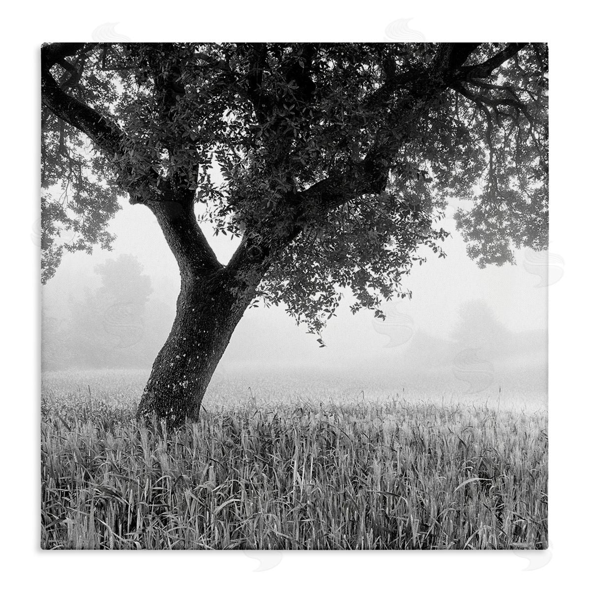 Chip Forelli Tuscan Morning Scenery Canvas Wall Art Print