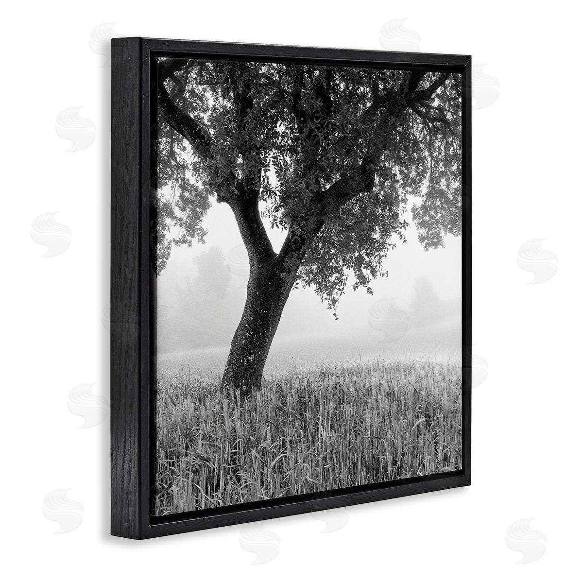 Chip Forelli Tuscan Morning Scenery Black Floating Frame Canvas Wall Art Print