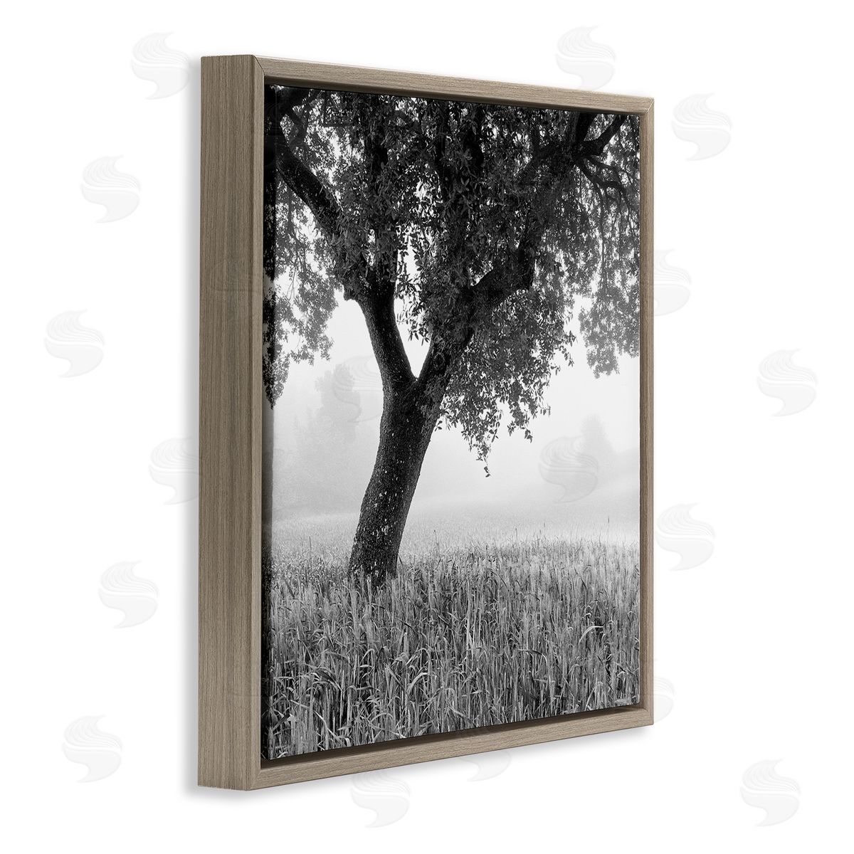 Chip Forelli Tuscan Morning Scenery Brown Floating Frame Canvas Wall Art Print