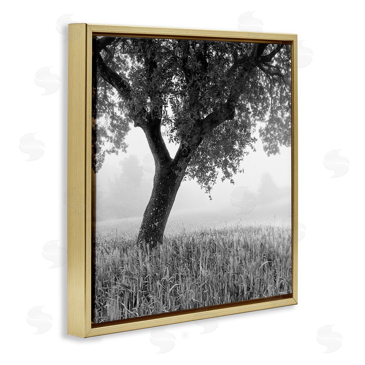 Chip Forelli Tuscan Morning Scenery Gold Floating Frame Canvas Wall Art Print