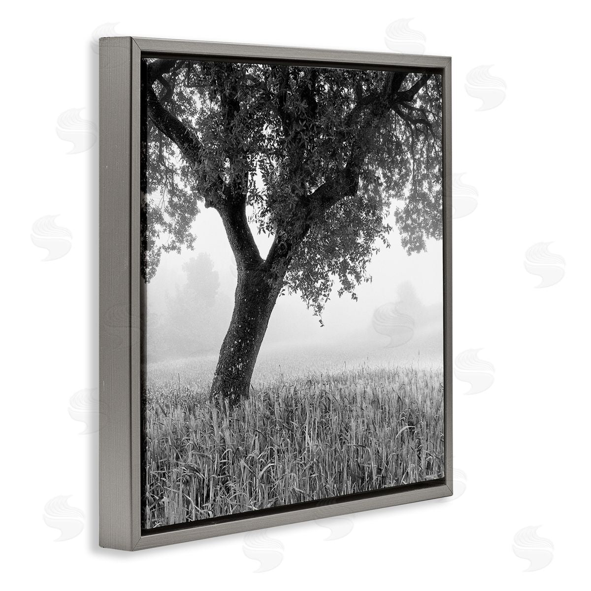 Chip Forelli Tuscan Morning Scenery Gray Floating Frame Canvas Wall Art Print