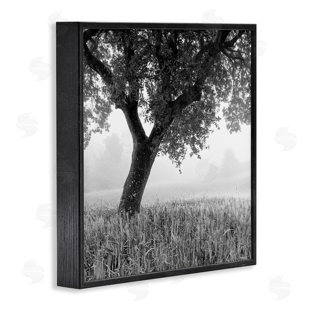 Chip Forelli Tuscan Morning Scenery Black Framed Giclee Wall Art Print