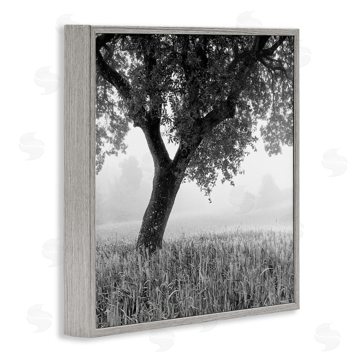Chip Forelli Tuscan Morning Scenery Gray Framed Giclee Wall Art Print