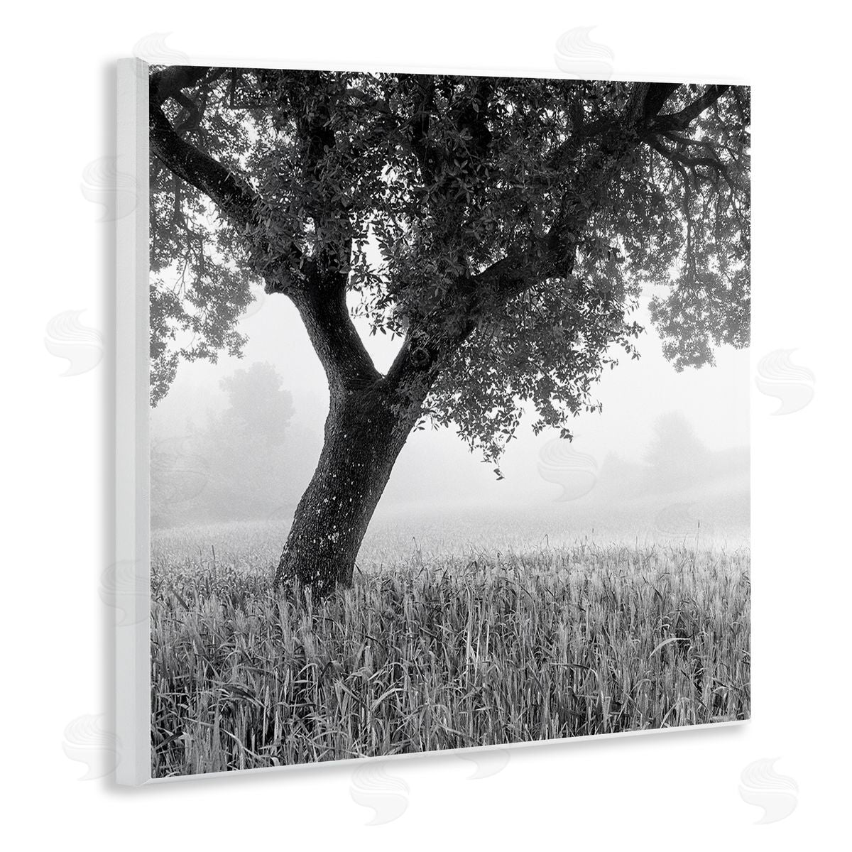 Chip Forelli Tuscan Morning Scenery Wooden Wall Plaque Art Print