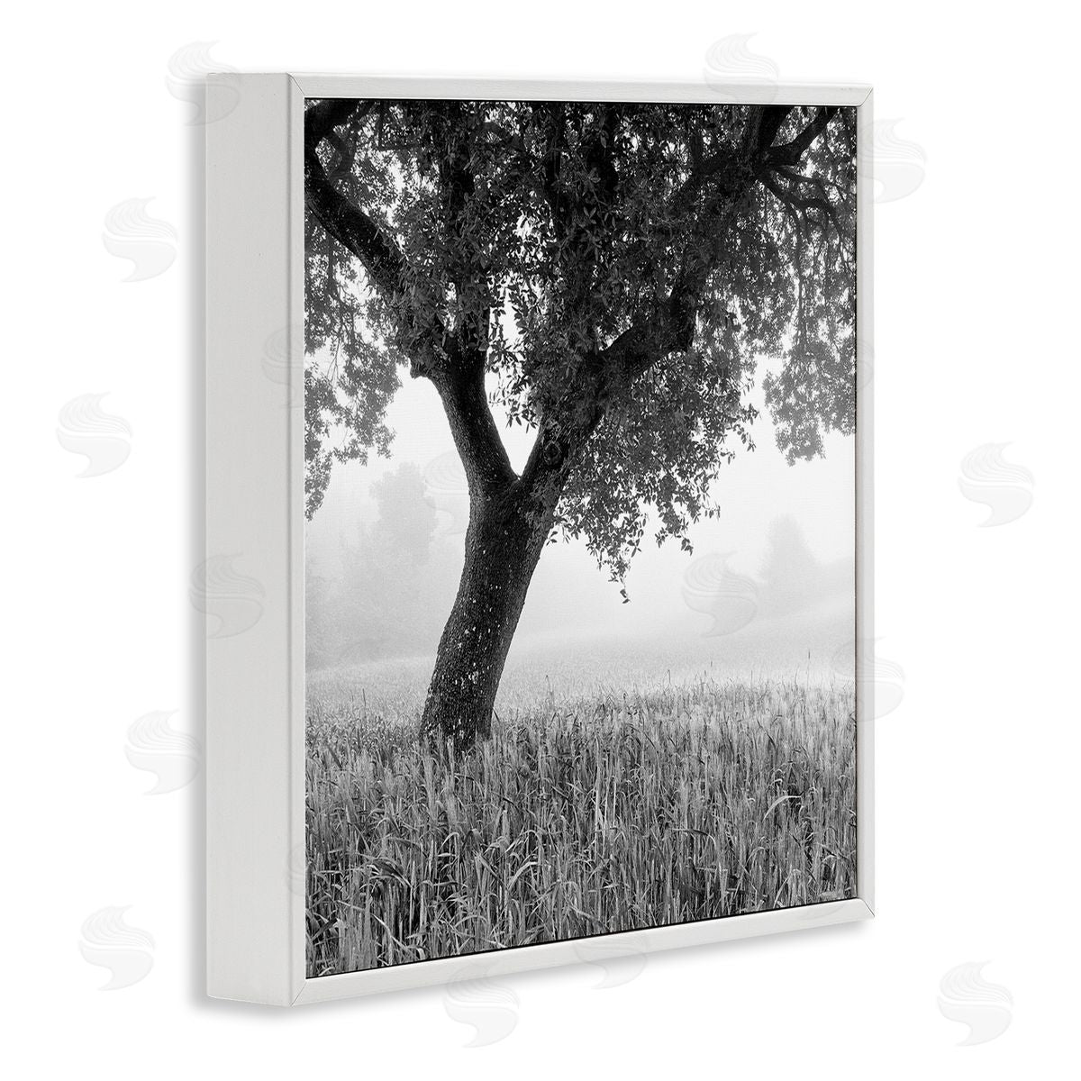 Chip Forelli Tuscan Morning Scenery White Framed Giclee Wall Art Print
