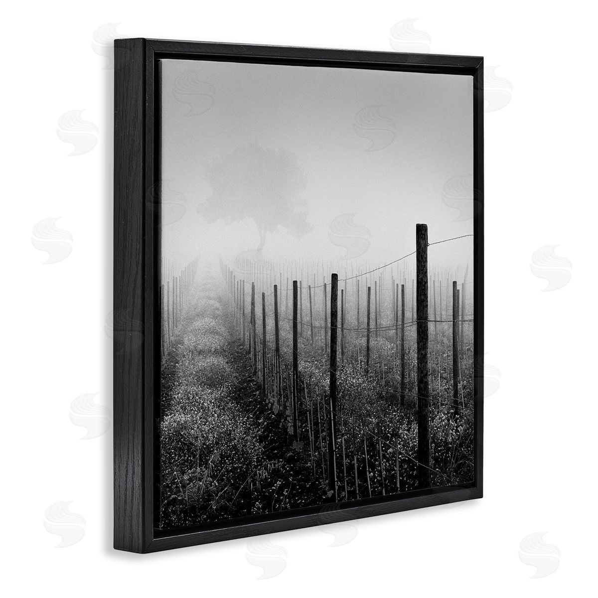 Chip Forelli Vineyard at Dawn Black Floating Frame Canvas Wall Art Print