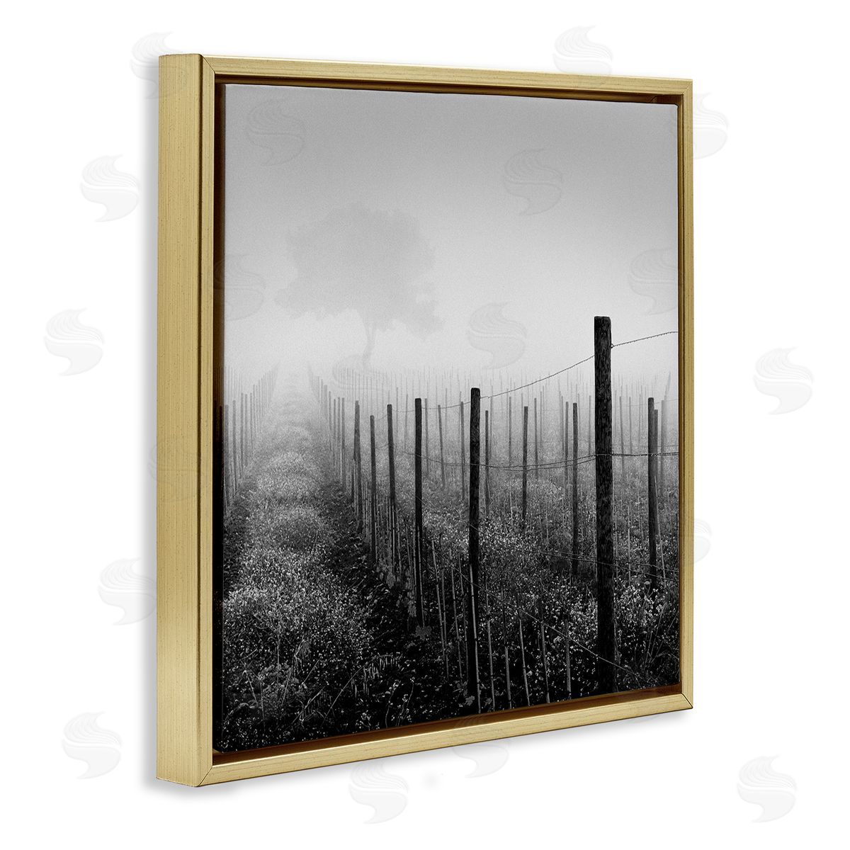 Chip Forelli Vineyard at Dawn Gold Floating Frame Canvas Wall Art Print