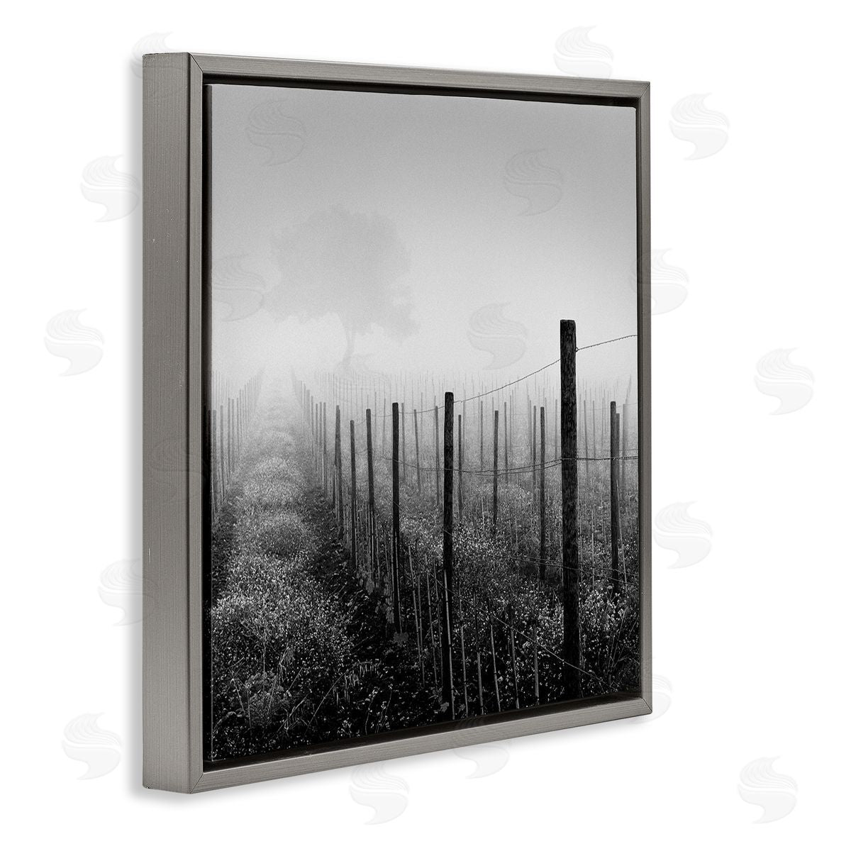 Chip Forelli Vineyard at Dawn Gray Floating Frame Canvas Wall Art Print