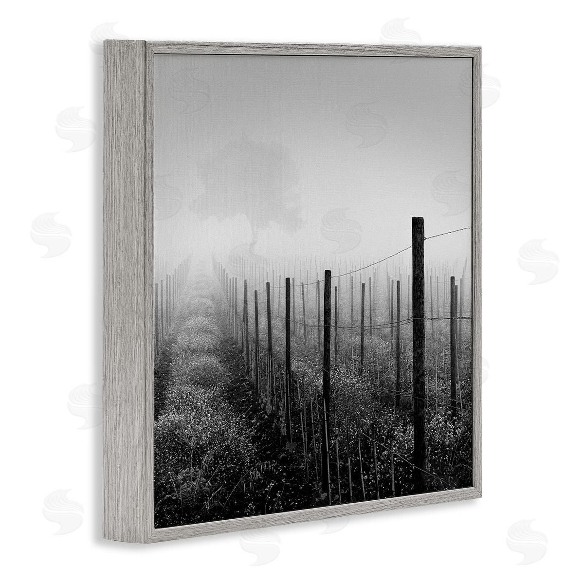 Chip Forelli Vineyard at Dawn Gray Framed Giclee Wall Art Print