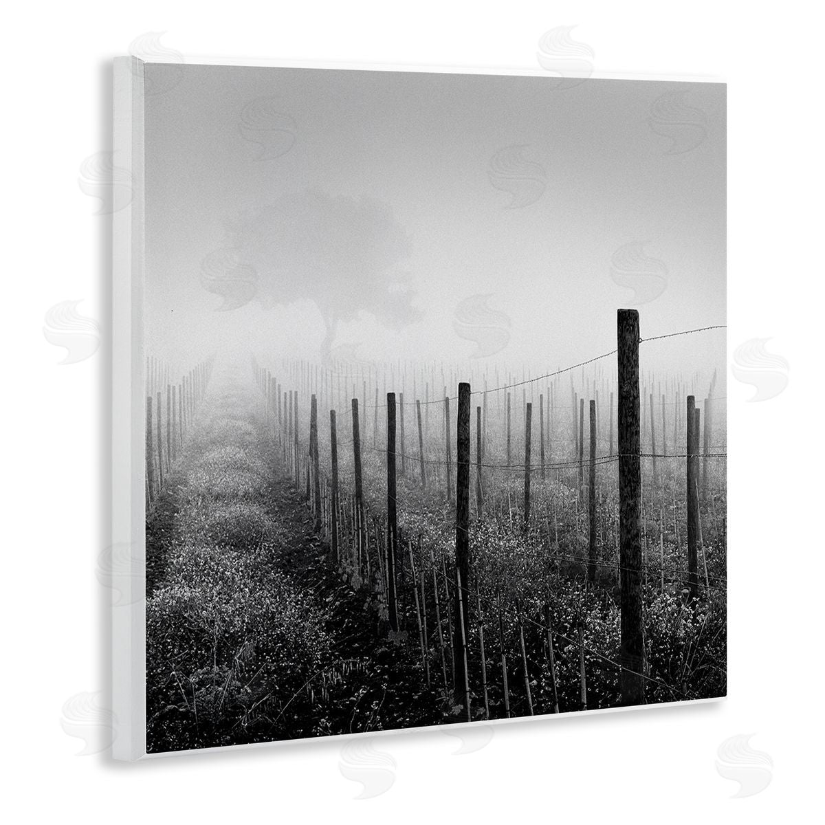 Chip Forelli Vineyard at Dawn Wooden Wall Plaque Art Print