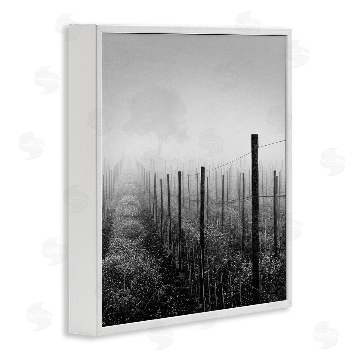 Chip Forelli Vineyard at Dawn White Framed Giclee Wall Art Print