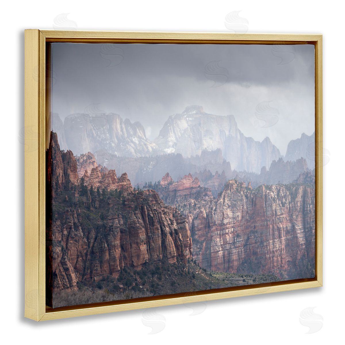 Zion National Park Gold Floating Frame Canvas Wall Art, Home Decor by Hunter Page Photography