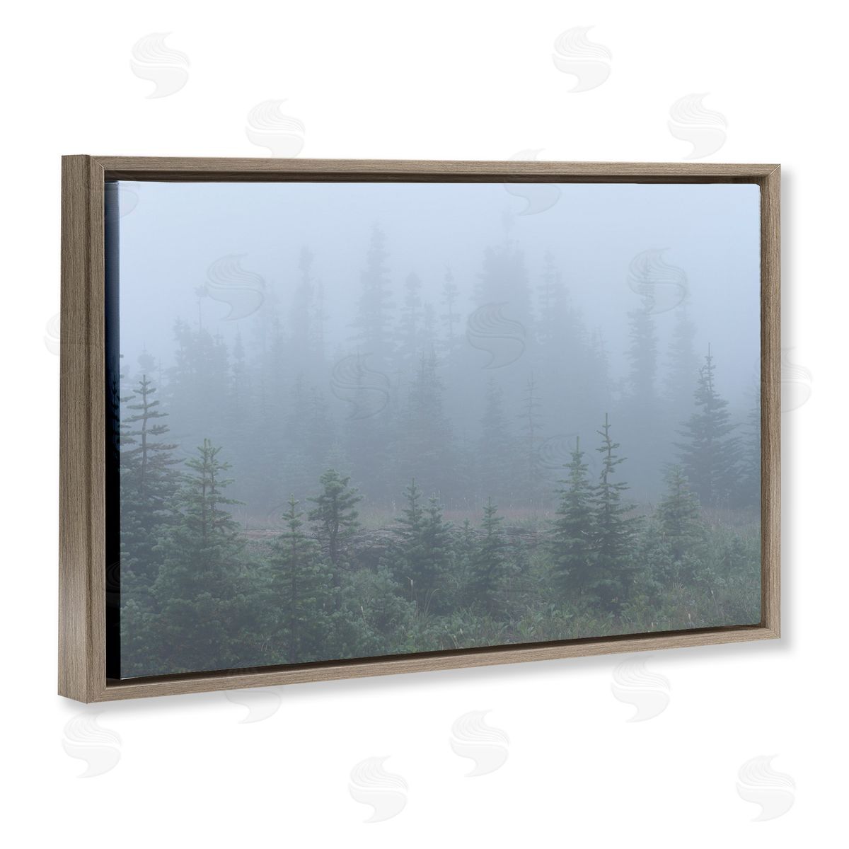 Foggy Forest Trees Brown Floating Frame Canvas Wall Art, Home Decor by Hunter Page Photography