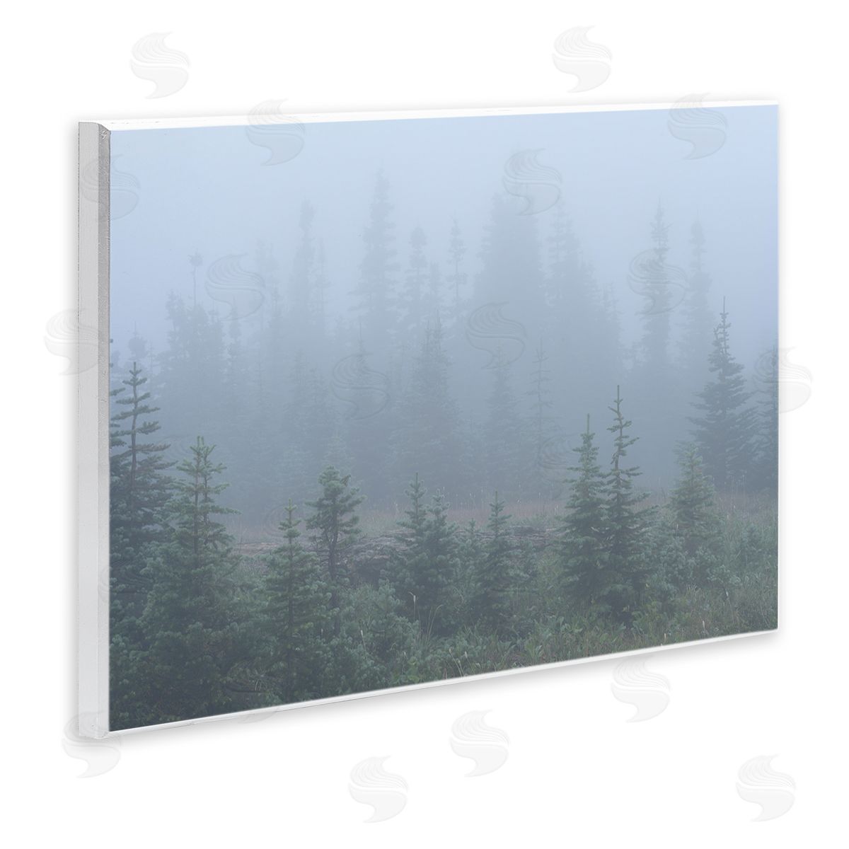 Foggy Forest Trees Wood Plaque Wall Art, Home Decor by Hunter Page Photography