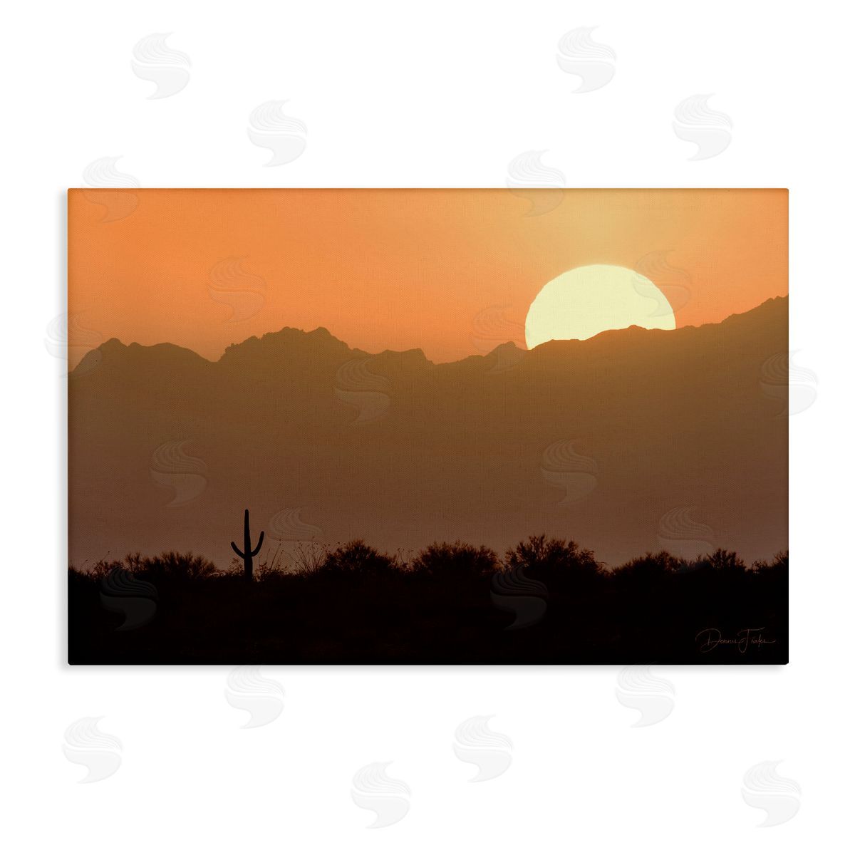 Dennis Frates Sunlit Desert Cactus Canvas Wall Art Print