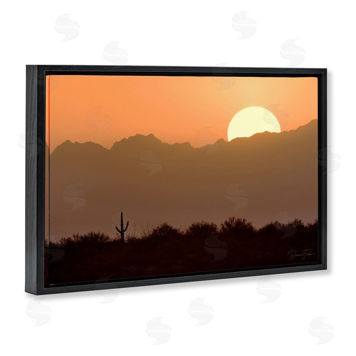 Dennis Frates Sunlit Desert Cactus Black Floating Frame Canvas Wall Art Print