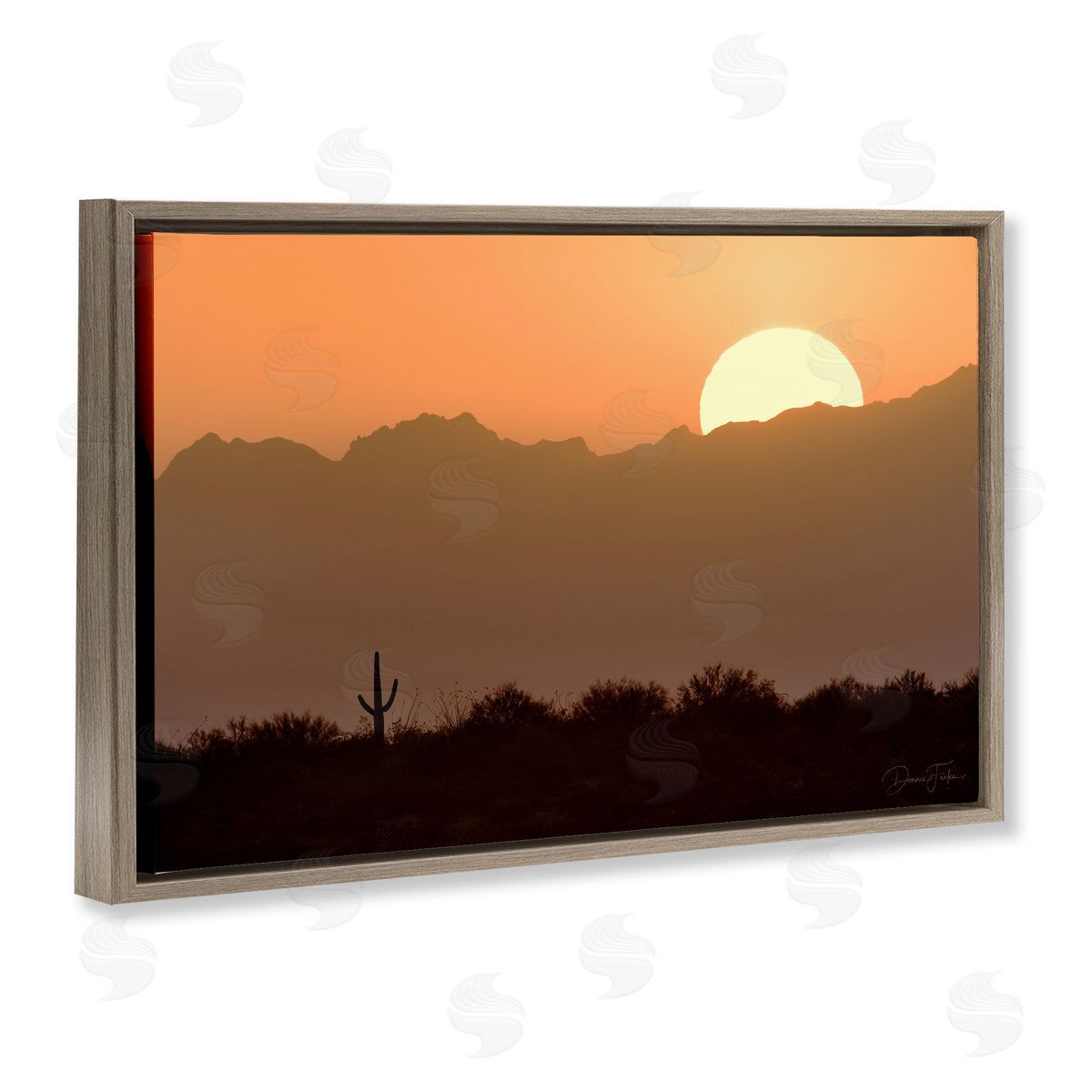 Dennis Frates Sunlit Desert Cactus Brown Floating Frame Canvas Wall Art Print