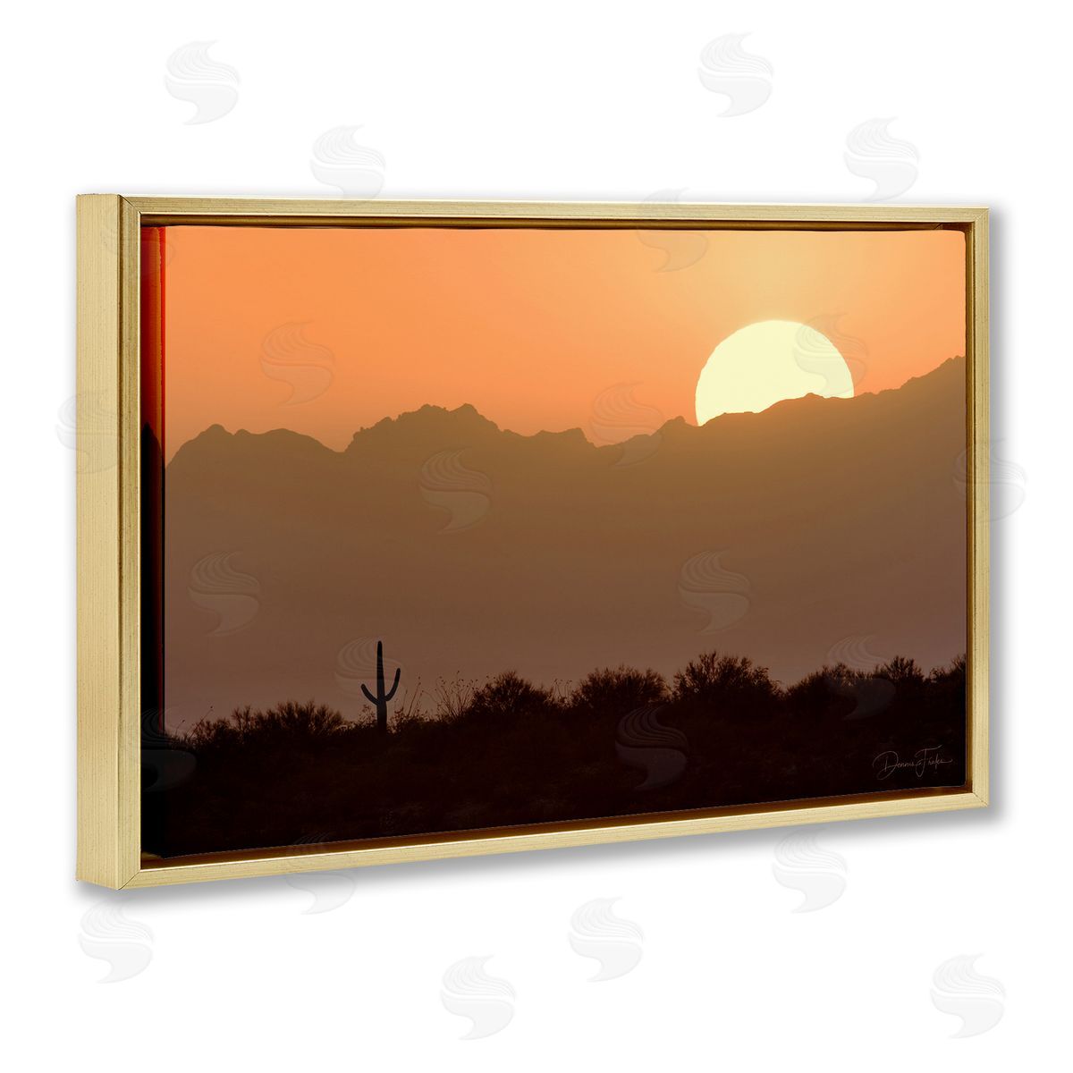 Dennis Frates Sunlit Desert Cactus Gold Floating Frame Canvas Wall Art Print