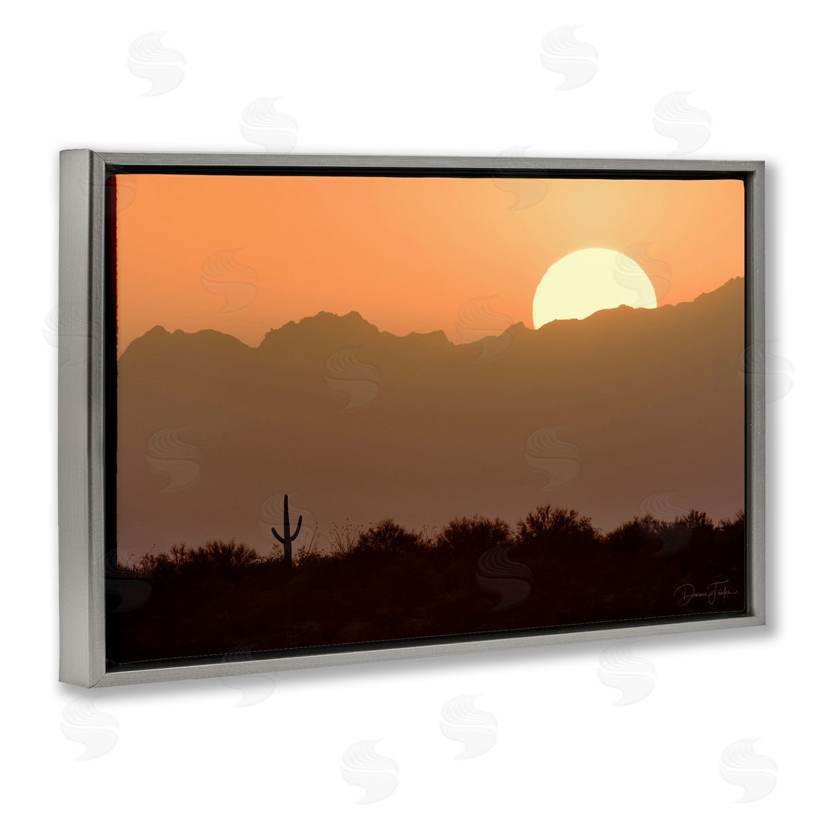 Dennis Frates Sunlit Desert Cactus Gray Floating Frame Canvas Wall Art Print