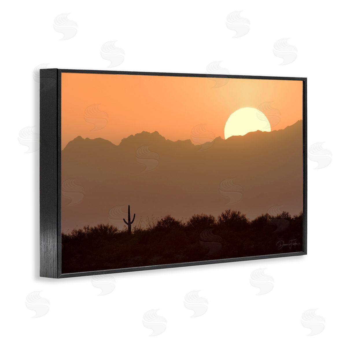 Dennis Frates Sunlit Desert Cactus Black Framed Giclee Wall Art Print