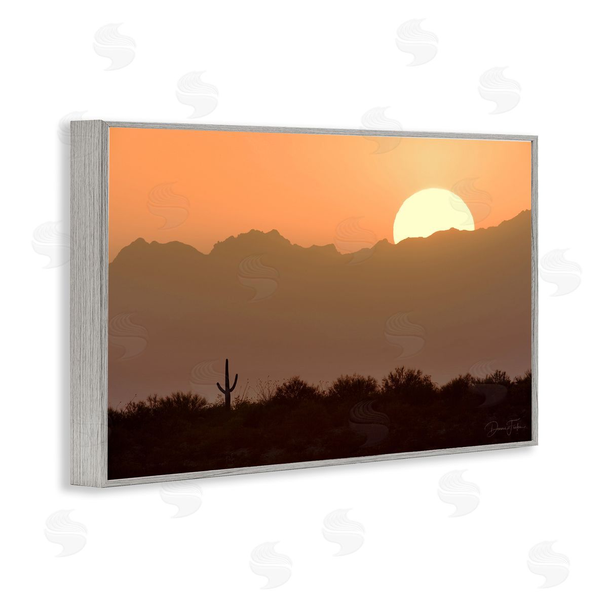 Dennis Frates Sunlit Desert Cactus Gray Framed Giclee Wall Art Print