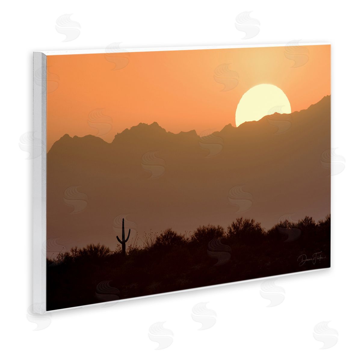 Dennis Frates Sunlit Desert Cactus Wooden Wall Plaque Art Print