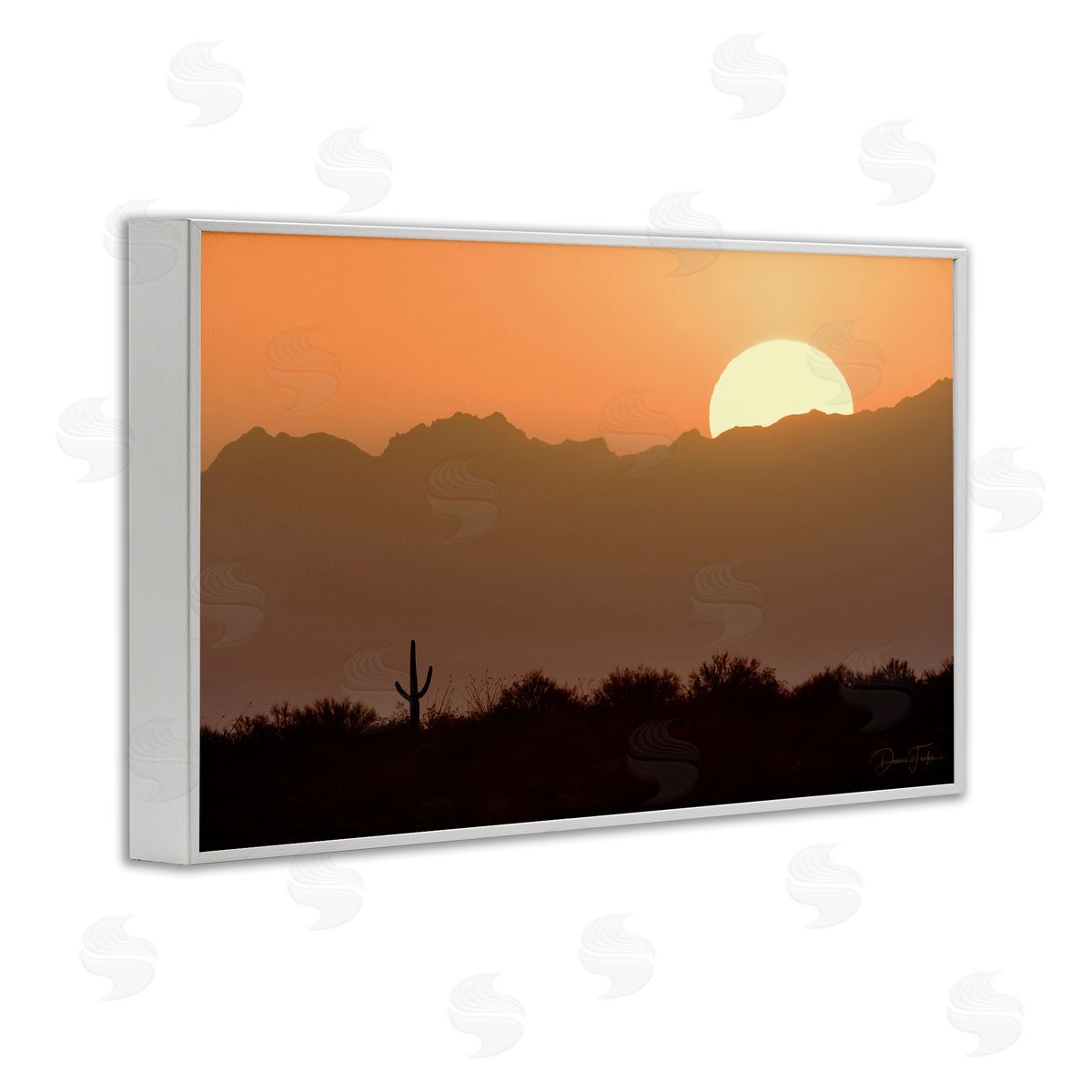 Dennis Frates Sunlit Desert Cactus White Framed Giclee Wall Art Print