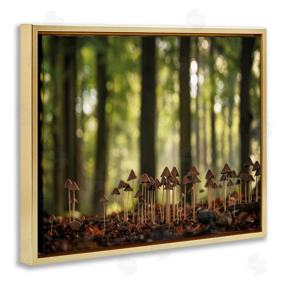 Mushroom Sprouts in Forest Gold Floating Frame Canvas Wall Art, Home Decor by Martin Podt