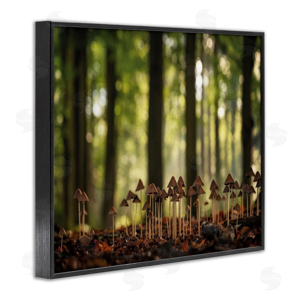 Mushroom Sprouts in Forest Black Frame Print Wall Art, Home Decor by Martin Podt