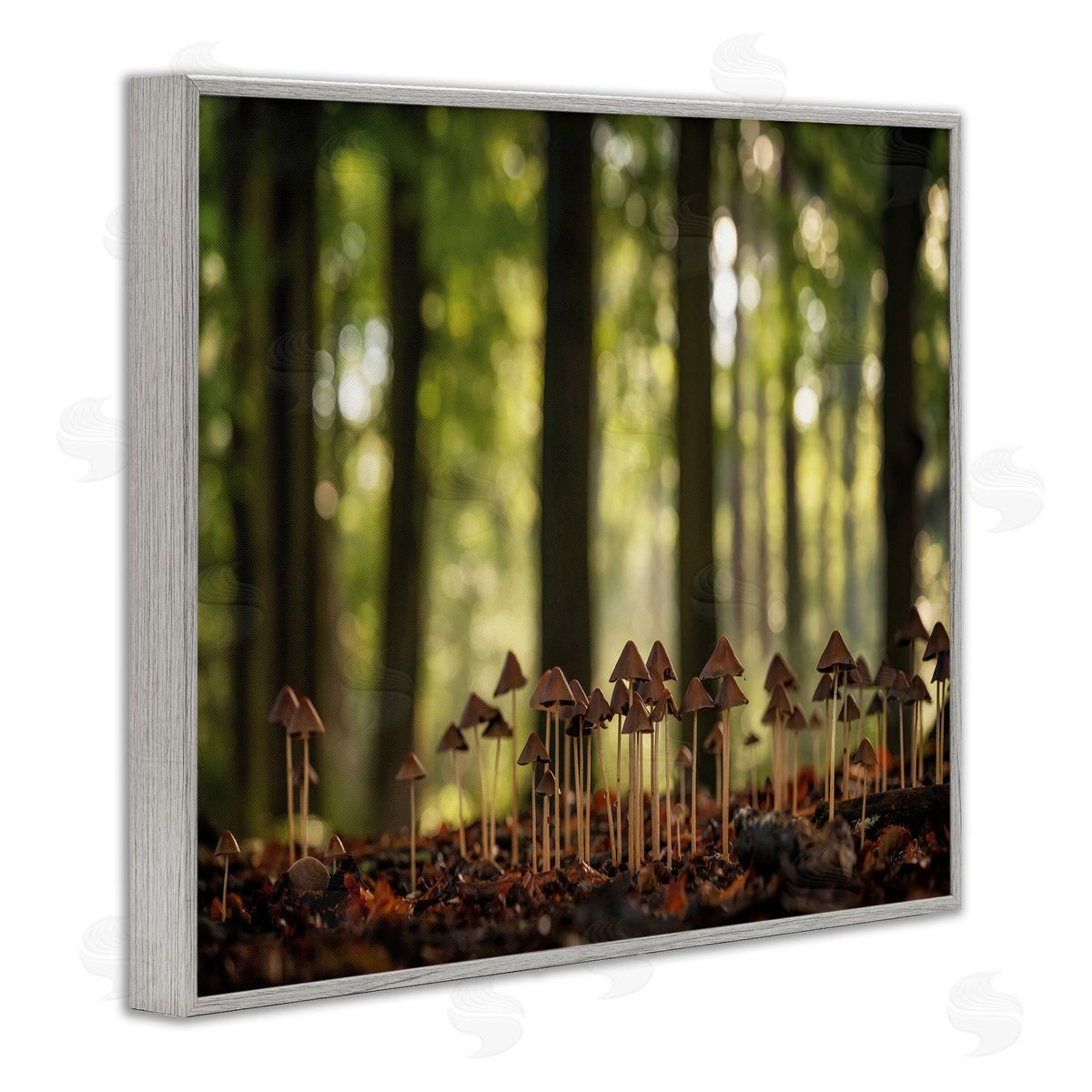 Mushroom Sprouts in Forest Grey Frame Print Wall Art, Home Decor by Martin Podt