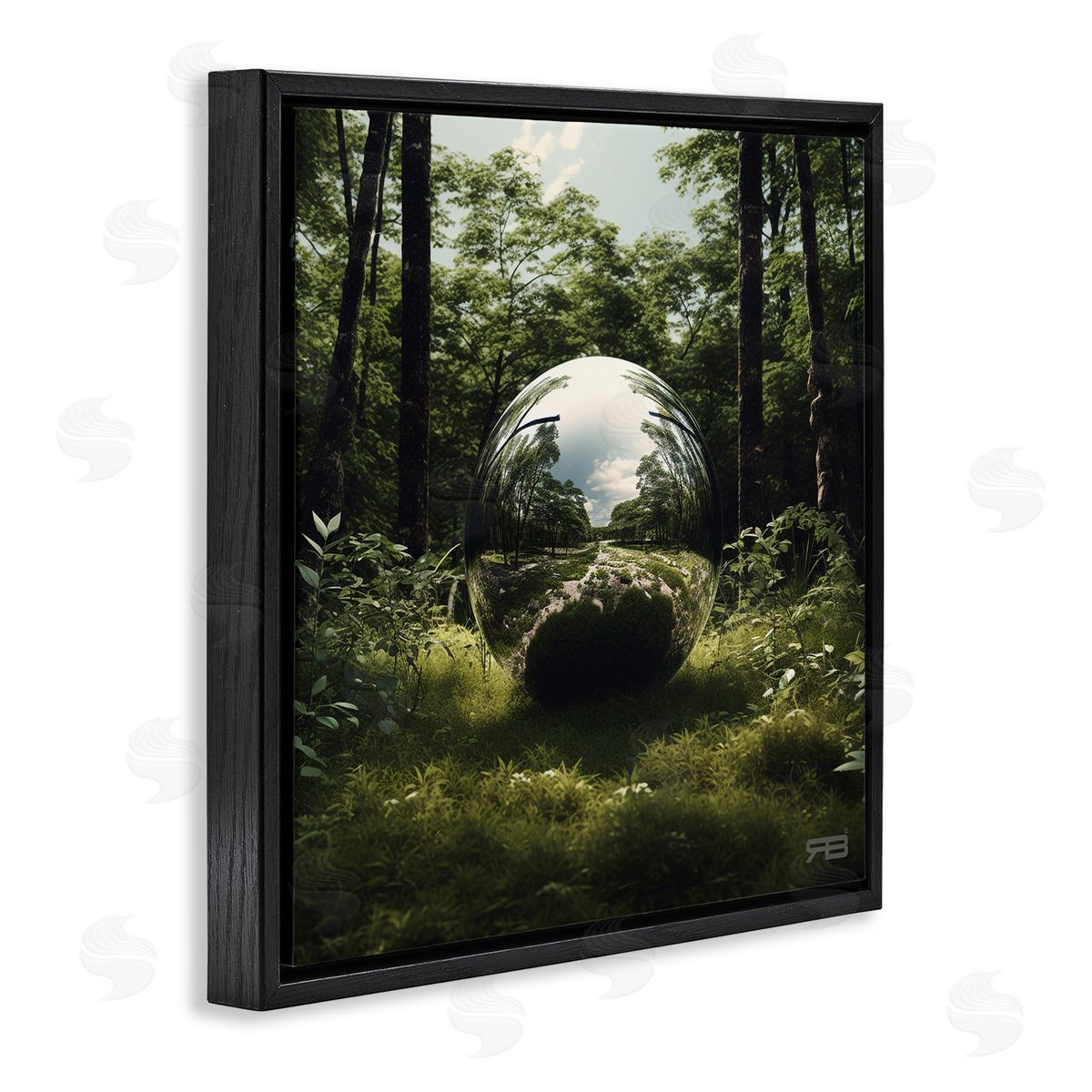 RB Reflective Ball in Nature Black Floating Frame Canvas Wall Art Print