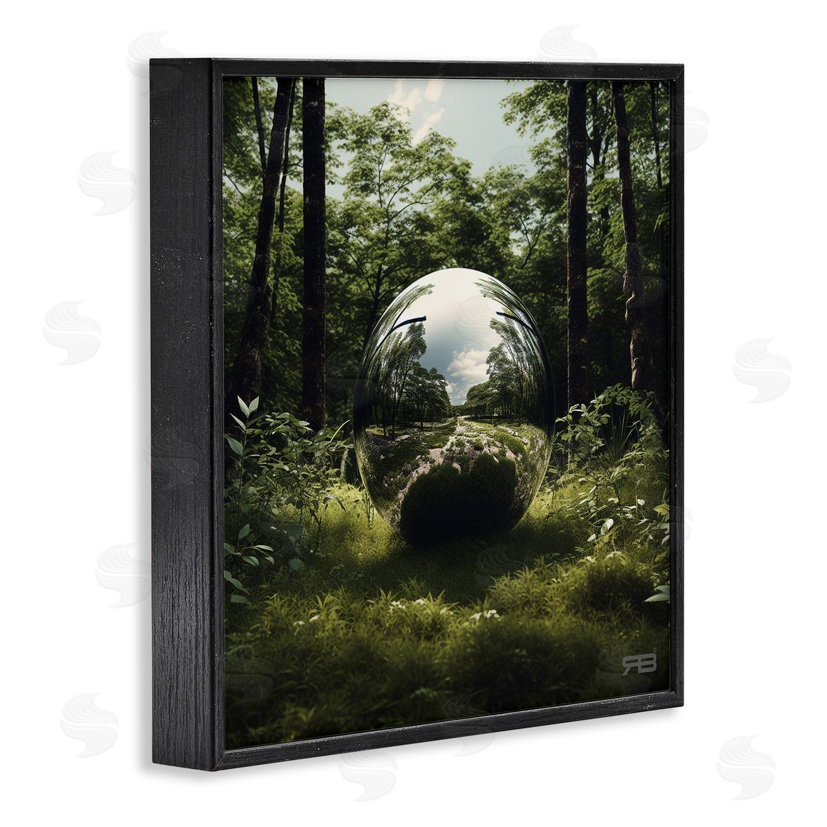 RB Reflective Ball in Nature Black Framed Giclee Wall Art Print