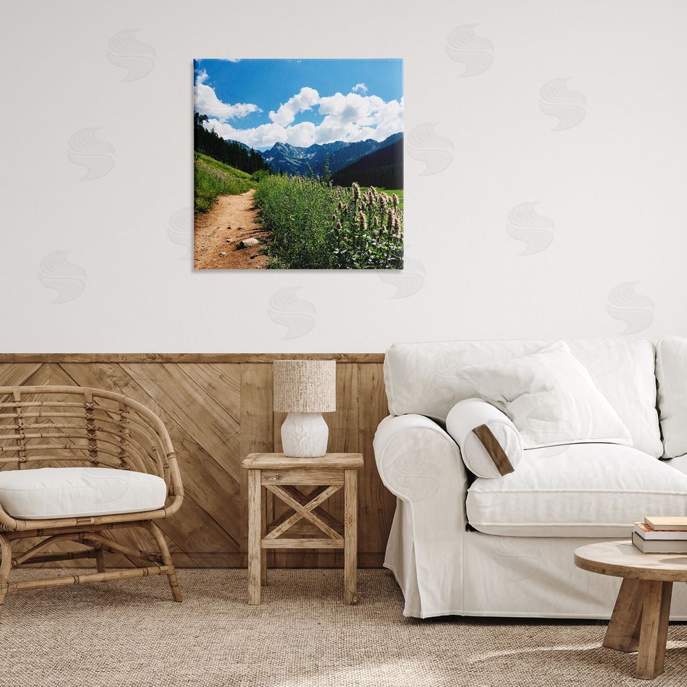 Anna Coppel Lovely Path with Clouds Canvas Wall Art Print in Room