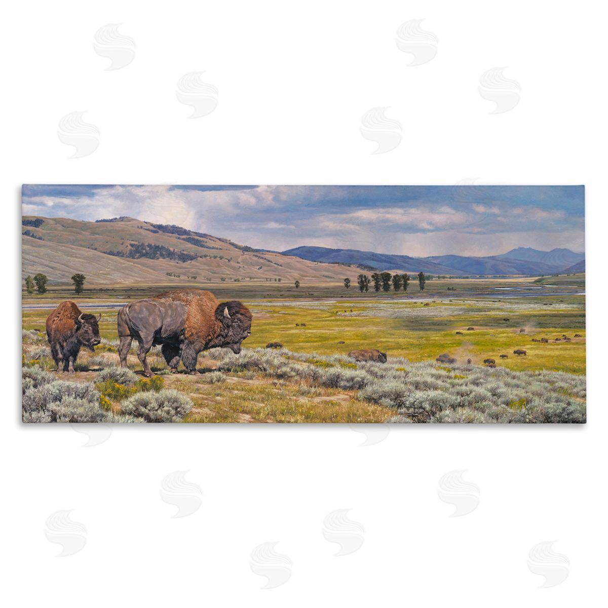 Roaming Southwestern Bison Canvas Wall Art, Home Decor by David Graham