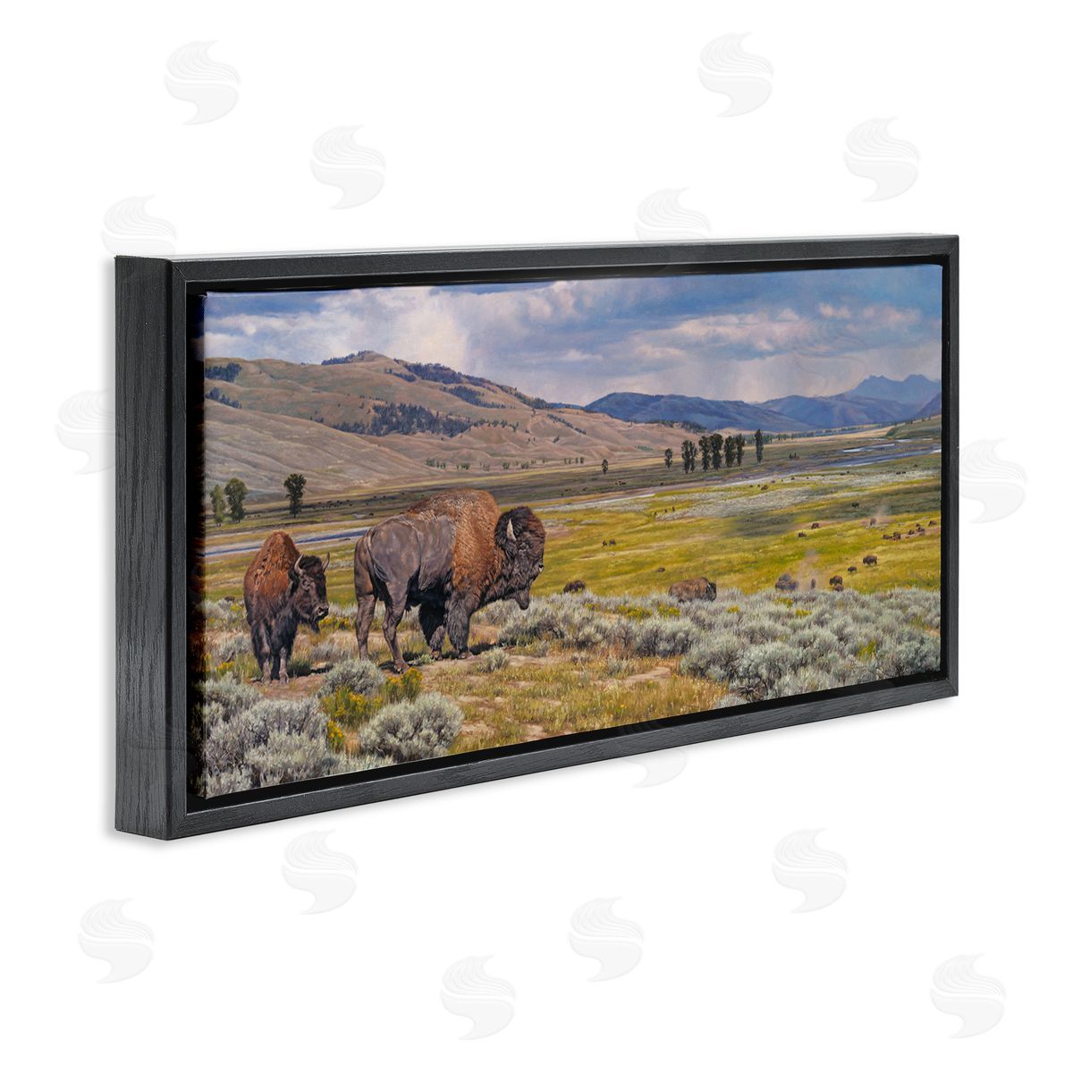 Roaming Southwestern Bison Black Floating Frame Canvas Wall Art, Home Decor by David Graham