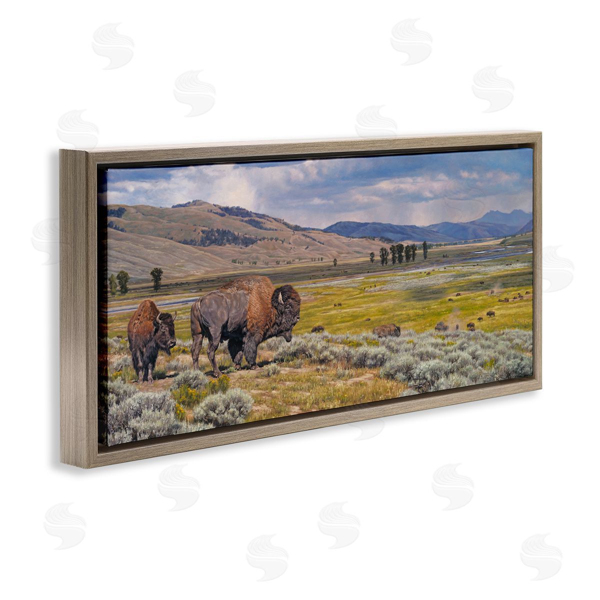 Roaming Southwestern Bison Brown Floating Frame Canvas Wall Art, Home Decor by David Graham