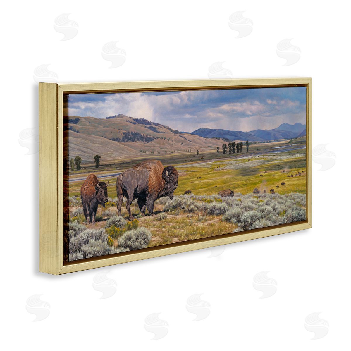 Roaming Southwestern Bison Gold Floating Frame Canvas Wall Art, Home Decor by David Graham